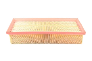 Air Filter (BSG 90-135-011)