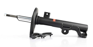 Shock Absorber (BSG 60-300-034)