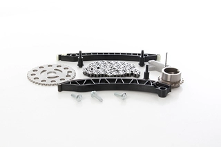 Timing Chain Kit (BSG 75-102-001)