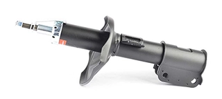 Shock Absorber (BSG 16-300-007)