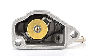 Thermostat, coolant (BSG 65-125-008)