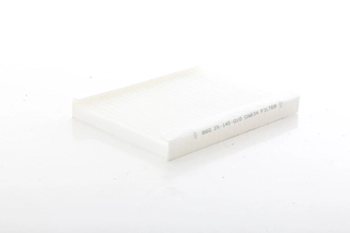 Filter, cabin air (BSG 25-145-010)