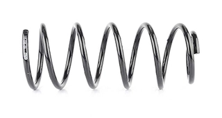 Suspension Spring (BSG 65-305-001)