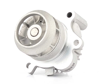 Water Pump, engine cooling (BSG 90-500-022)