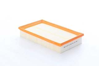 Air Filter (BSG 90-135-042)
