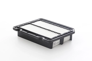 Air Filter (BSG 16-135-007)