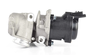 EGR Valve (BSG 70-836-002)