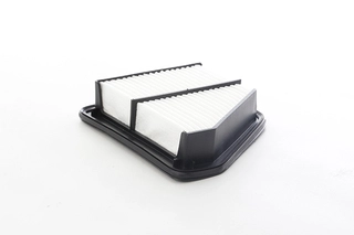 Air Filter (BSG 35-135-009)