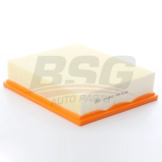 Air Filter (BSG 15-135-027)