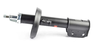 Shock Absorber (BSG 65-300-032)