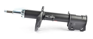 Shock Absorber (BSG 65-300-028)