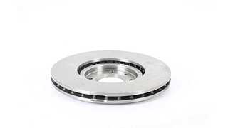 Brake Disc (BSG 70-210-026)