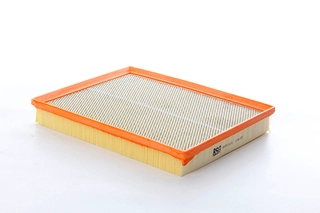 Air Filter (BSG 65-135-030)