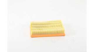 Air Filter (BSG 15-135-018)