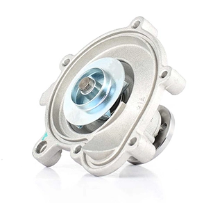 Water Pump, engine cooling (BSG 60-500-011)