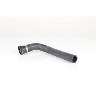 Radiator Hose (BSG 90-720-169)