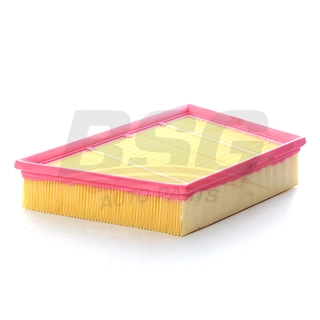 Air Filter (BSG 15-135-029)