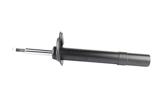 Shock Absorber (BSG 15-300-023)