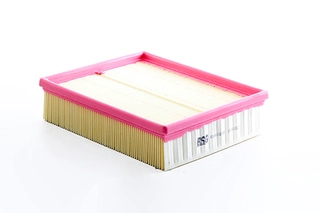 Air Filter (BSG 40-135-038)
