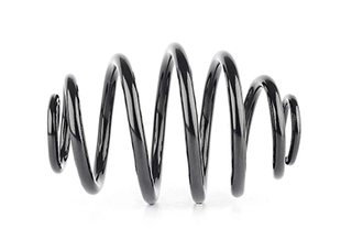 Suspension Spring (BSG 65-305-011)
