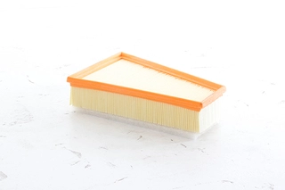 Air Filter (BSG 70-135-030)