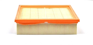 Air Filter (BSG 30-135-003)