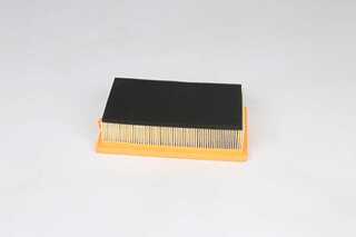 Air Filter (BSG 25-135-017)