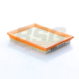 Air Filter (BSG 15-135-030)