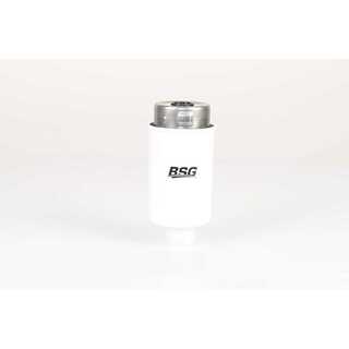Fuel Filter (BSG 15-130-009)