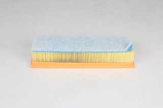 Air Filter (BSG 15-135-021)