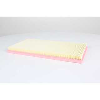 Air Filter (BSG 60-135-049)