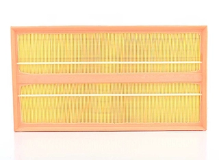 Air Filter (BSG 60-135-005)