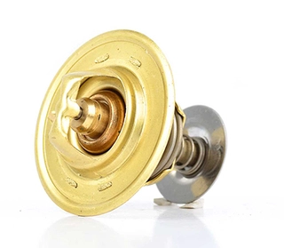 Thermostat, coolant (BSG 30-125-006)