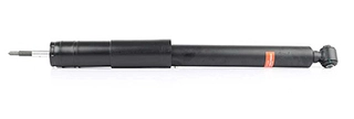 Shock Absorber (BSG 60-300-033)