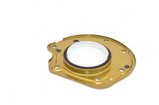 Shaft Seal, crankshaft (BSG 30-116-114)