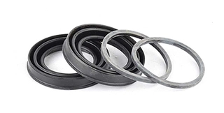 Repair Kit, brake caliper (BSG 30-251-016)