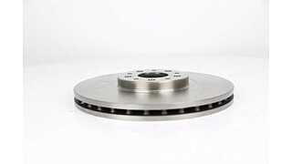 Brake Disc (BSG 25-210-005)