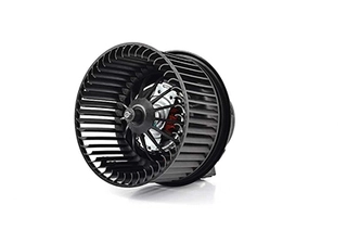 Interior Blower (BSG 30-845-004)
