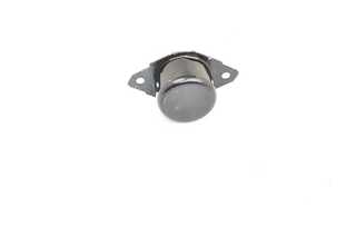 Mounting, engine (BSG 90-700-213)