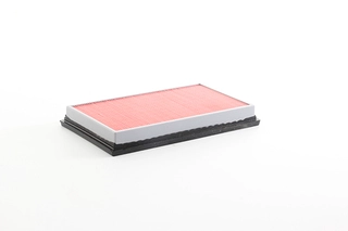 Air Filter (BSG 63-135-005)