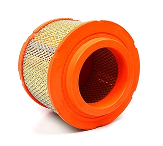Air Filter (BSG 30-135-023)