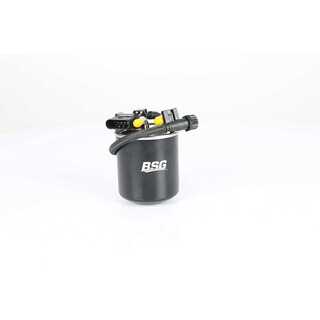 Fuel Filter (BSG 60-130-014)