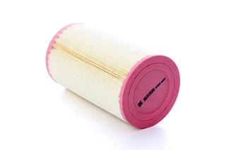 Air Filter (BSG 25-135-016)