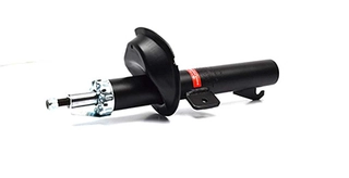 Shock Absorber (BSG 30-300-013)