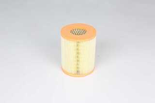 Air Filter (BSG 60-135-034)