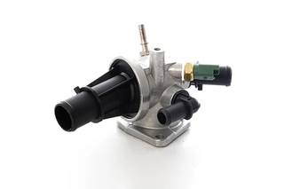 Thermostat, coolant (BSG 65-125-021)