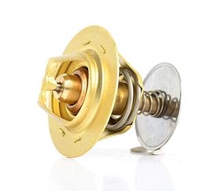 Thermostat, coolant (BSG 30-125-001)