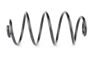 Suspension Spring (BSG 65-305-017)