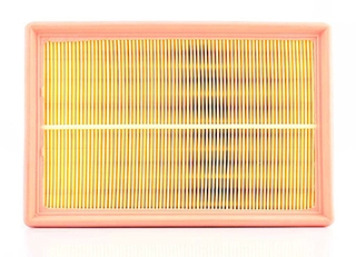 Air Filter (BSG 90-135-004)