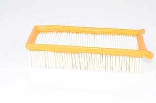 Air Filter (BSG 75-135-008)